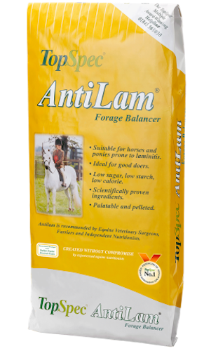 (image for) Topspec Antilam Forage Balancer 15kg *SPECIAL ORDER* (LOCAL DELIVERY ONLY)